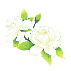 天是倒过来的海°采集到花花草草