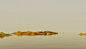 Moon Journey Across Landscapes  Behance (20)