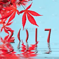 贺卡,叶子,2017年,红花槭,水,枝繁叶茂,新年,健康,异国情调,湖