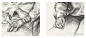 手的绘画2019青美文化张彦琨画手部解剖从基础教学到大师手稿作品临摹范本对临高校联考国美院手绘画册教材程书籍-tmall.com天猫