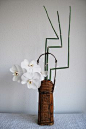 Ikebana 'Three ninja's in the water' ... white moth orchids, snake grass and bamboo ... luv the woven vase too ...