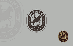 anncyy采集到logo、标志
