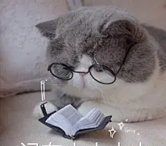 表情包搞笑_百度图片搜索