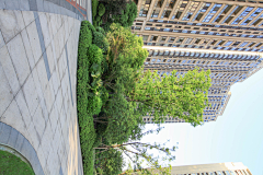 XingFuML采集到杭州龙湖春江彼岸实景照片