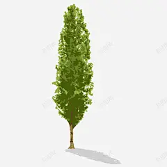 卡通简约大树装饰广告 页面网页 平面电商 创意素材