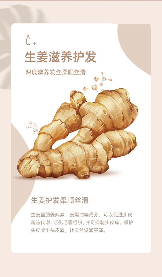 生姜洗发水_03.jpg
