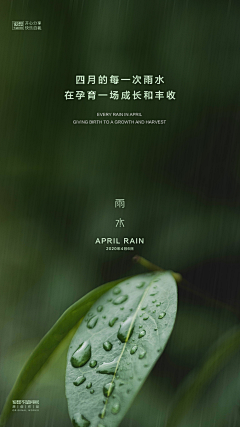 CiCi-汐汐采集到L节气-春（立春 雨水 惊蛰 春分 清明 谷雨）