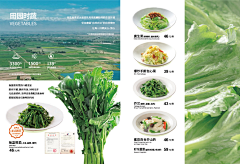 Tom猫丶采集到菜单