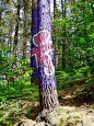 树上画着紫色背景的粉红色人物