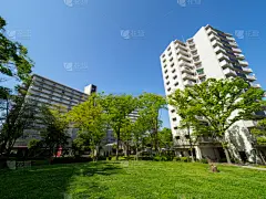 复杂性,房屋建设,水平画幅,地形,无人,东京,日本,城市生活,户外,城市