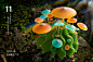 C057-木-11节OC彩虹光与微生物写实渲染分层