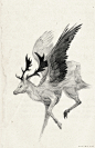 Mythical Menagerie : A series of mythical hybrid creatures for a zine.