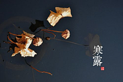 水心眉采集到传统文化