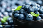 高清蓝莓水果摄影
