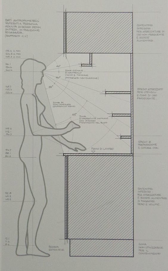 厨房橱柜与人体的工作角度。人体工程学，设...