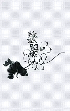 装饰花草|手绘花卉,写意花草,装饰花草,国画小品,中国画,美术插图,&nbsp;艺术作品,&nbsp;宣纸画,&nbsp;国粹,卡通元素,手绘/卡通