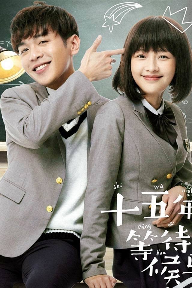十五年等待候鸟电视剧海报手机壁纸
