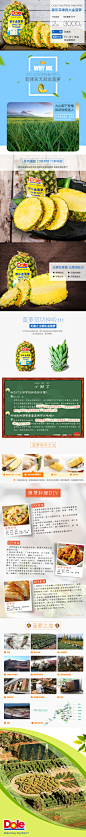 160420菠萝详情页