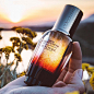 L'OCCITANE (@loccitane)'s Instagram Profile on Tofo.me: Instagram Online Viewer