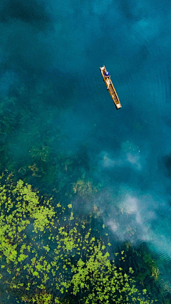 一个在野采集到水