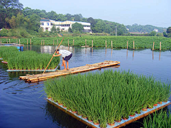 jmyOyamt采集到美丽屋场