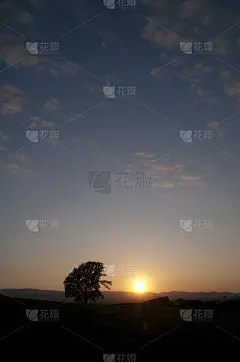 夕阳下的天空和大树的剪影