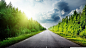 #roads, #trees | Wallpaper No. 103833 - wallhaven.cc