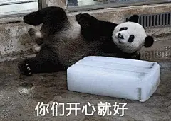 微信 QQ 搞笑 表情包 哈哈 (3848)