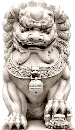 采集图片