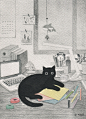 我的猫  ⓒ Park Jung eun