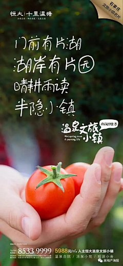 西红柿不在家采集到创意合成海报