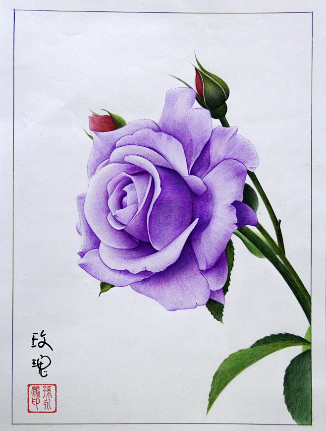 紫色玫瑰圆珠笔画于2014年12月