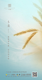 大悦城节气海报-小满