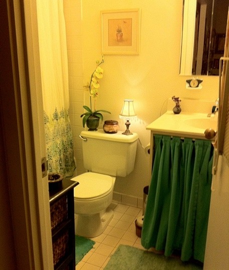 绿色的卫浴风格~