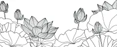 荷花线描  - 源文件下载【酷图网】线描荷花,荷花矢量图,荷花图案,荷花,荷,花,花卉,线描,白描,线条荷花,荷花雕刻,玻璃雕刻,雕刻,屏风雕刻图,艺术玻璃,艺术玻璃雕刻,艺术玻璃线条,荷花艺术玻璃,荷花素材,设计,广告设计