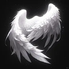 误生的天使翅膀 - 小红书