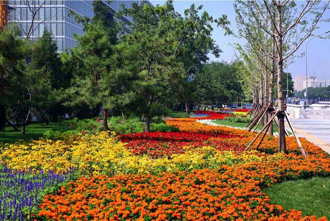 ^时花布景