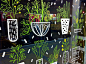 【植物插画系列图集下载】创意叶子草本花卉绘本绘画