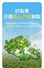 梨花猫妈妈梨呀纯净梨膏小孩零食泡水喝无添加剂即食砀山秋梨膏-tmall.com天猫