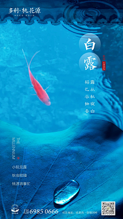 不二情书666采集到二十四节气--白露