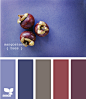 mangosteen hues