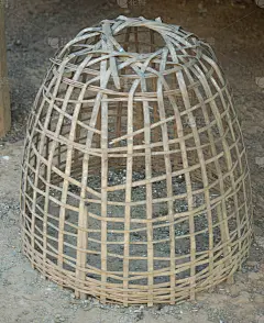 鸡笼
