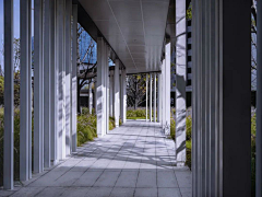 Lara-阳采集到展示区景观