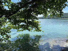 康斯坦茨湖景观和花岛-康斯坦茨，德国或德国康斯坦茨