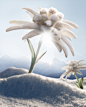 The secret behind the anti-aging efficiency.

Capable of growing on the icy summits of the Swiss Alps, HELENA RUBINSTEIN sources the infinite power of resilience of the Edelweiss flower to create PRODIGY CELLGLOW THE DEEP RENEWING CONCENTRATE.

Edelweiss 