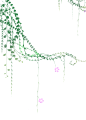 绿色树藤藤蔓树叶花藤枯枝藤条透明免抠PNG图案图片 PS设计素材 (155)