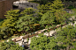 26hony-tower-landscape-design-by-aspect-studios