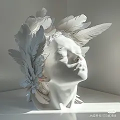 采集图片