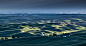 Landscape Nature Washington wheat field palouse