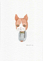 Frederick the Cat#小清新插画#